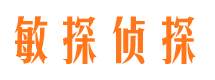 防城港商务调查